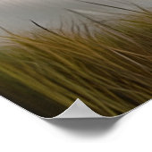 Poster Majestic White Lion Ethereal Art (Coin)