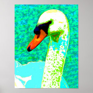 Poster Majestic White Swan Head