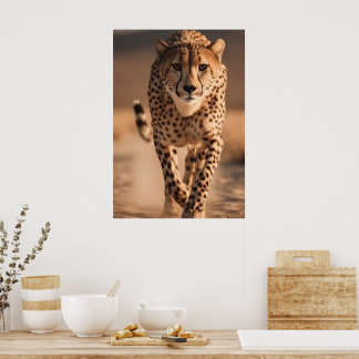 Poster Majestic Wild Cheetah Running Photo