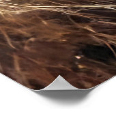 Poster Majesty in Earthy Tones (Coin)