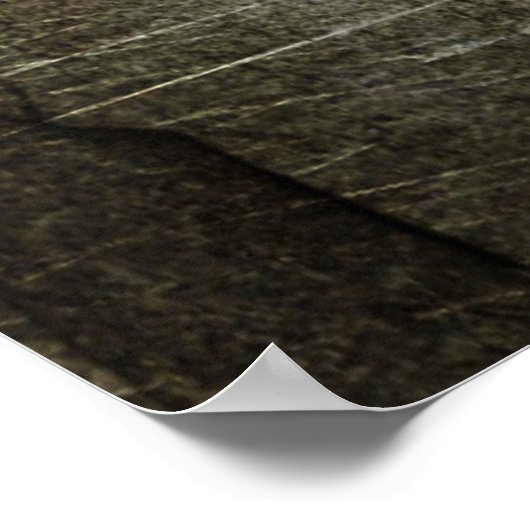 Poster Mal 2013 (Coin)