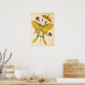 Poster Malaisie Moon Moth & Chine Rose (Cuisine)