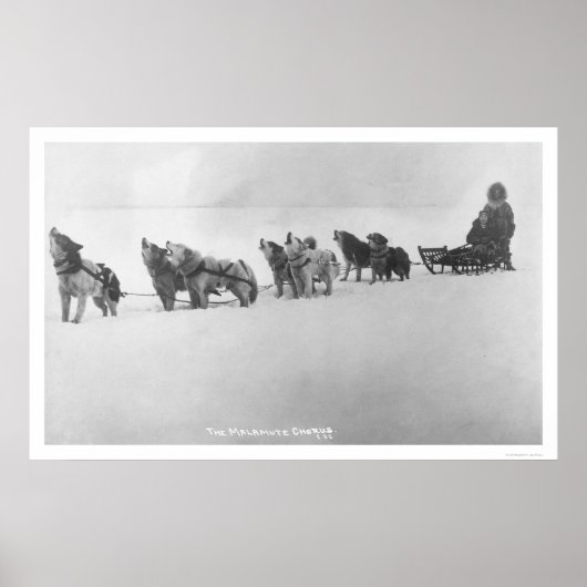 Poster Malamute Chorus Alaska 1920 (Devant)