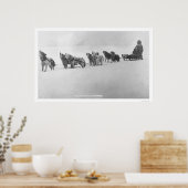 Poster Malamute Chorus Alaska 1920 (Cuisine)