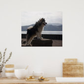 Poster Malamute d'Alaska (Cuisine)