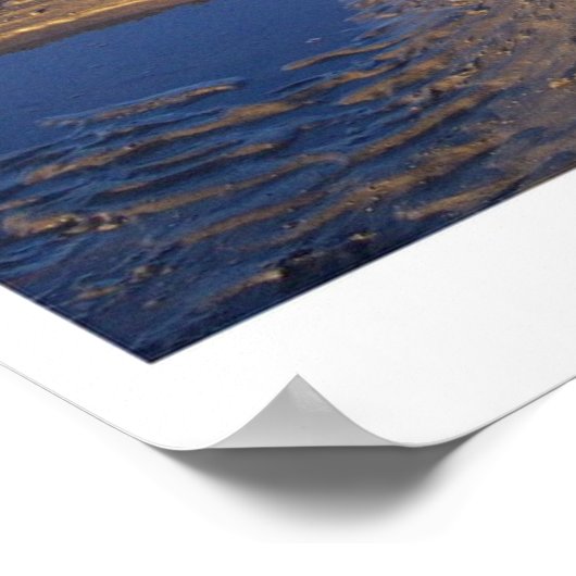 Poster Malamute d'Alaska (Coin)