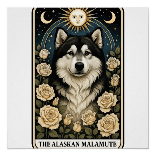 Poster Malamute d'Alaska (Devant)