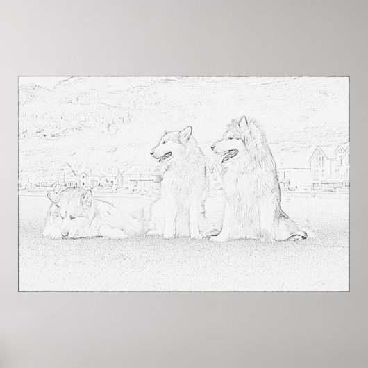 Poster Malamutes d'Alaska (Devant)