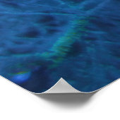 Poster Malapascua (Coin)