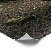 Poster Malayan Tapir (Coin)