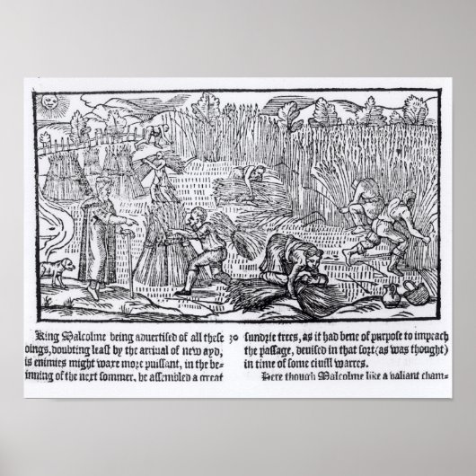 Poster Malcolm, roi d'Écosse (Devant)