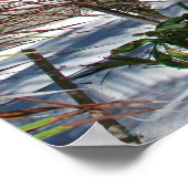 Poster maldives-666122 PARADIS TROPICAL MUR ARRIÈRE - PLA (Coin)