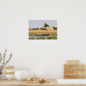Poster Mali, Djenne. Rivière Bani près de Djenne (Cuisine)
