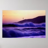 Poster Malibu Beach (Devant)