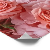 Poster Malinois belge avec des roses - Saint-Valentin (Coin)