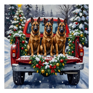 Poster Malinois belge Noël camion rouge vacances