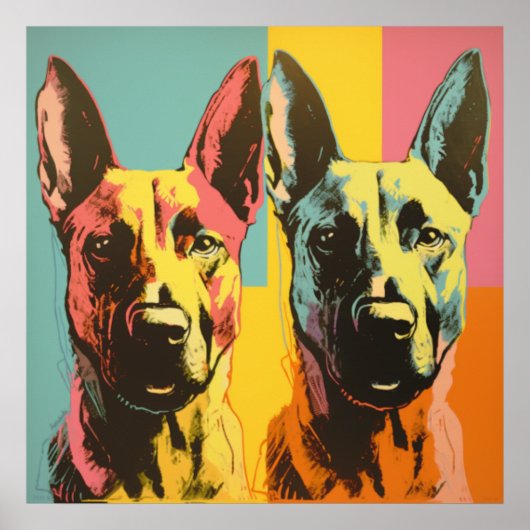 Poster Malinois POP ART 2 (Devant)