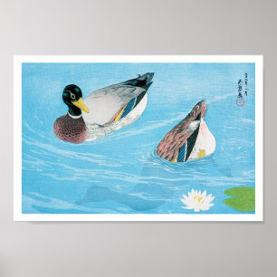 Poster Mallard dans l'étang, Goyō Hashiguchi