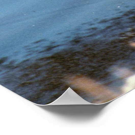 Poster Mallard Drake (Coin)