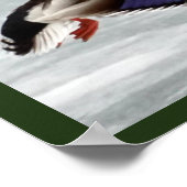 Poster Mallard Drake en vol (Coin)