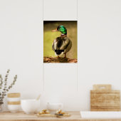 Poster Mallard Duck (Cuisine)