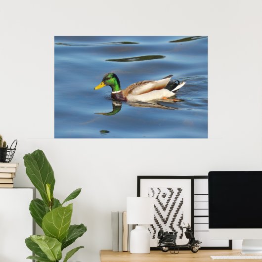Poster Mallard Duck (Bureau à domicile)