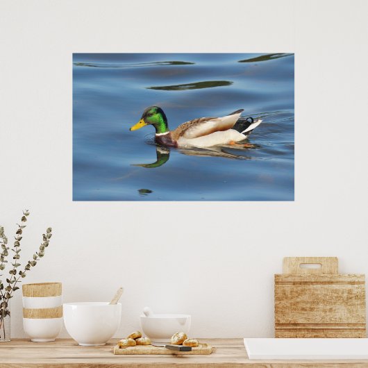 Poster Mallard Duck (Cuisine)