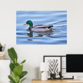 Poster Mallard Duck (Bureau à domicile)