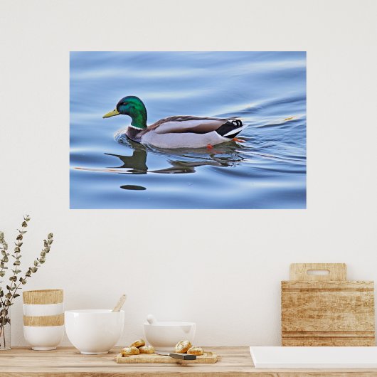 Poster Mallard Duck (Cuisine)