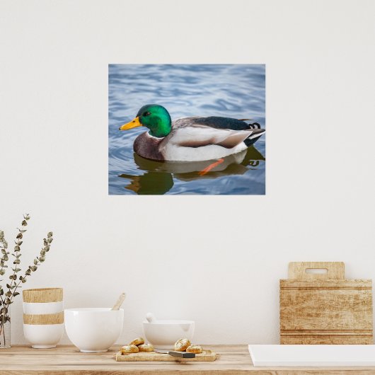 Poster Mallard Duck (Cuisine)