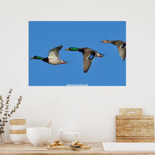 Poster Mallard Duck (Cuisine)