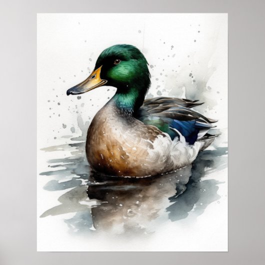 Poster Mallard Duck Bird Art Imprimer l'affiche (Devant)