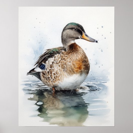 Poster Mallard Duck Bird Art Imprimer l'affiche (Devant)