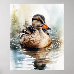 Poster Mallard Duck Bird Art Imprimer l'affiche