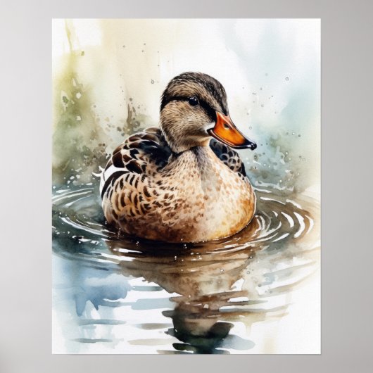 Poster Mallard Duck Bird Art Imprimer l'affiche (Devant)