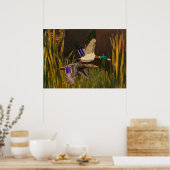Poster Mallard Ducks (Cuisine)