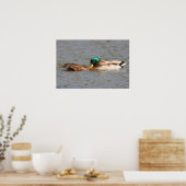 Poster Mallards (Cuisine)