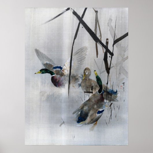 Poster Mallards et roseaux, Watanabe Seitei (Devant)