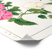 Poster Mallow, Centranthus par Tanigami Konan (Coin)