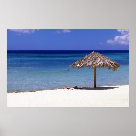 Poster Malmok Beach, Aruba, Antilles de Pays-Bas (Devant)