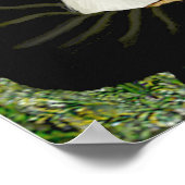 Poster Maltais 11 - Mona Lisa (Coin)