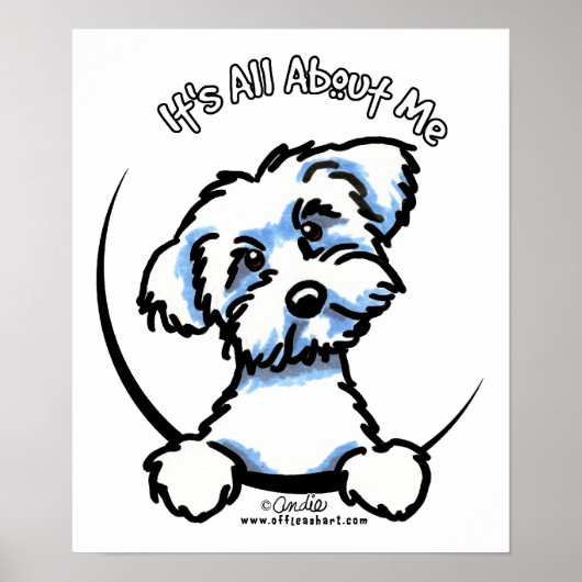 Poster Maltais C'Est Tout Pour Moi (Devant)