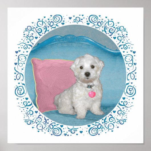 Poster Maltais sur Turquoise (Devant)