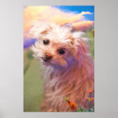 Poster Maltese Rescue Puppy Day 1 “THE WEE ONE” (Devant)