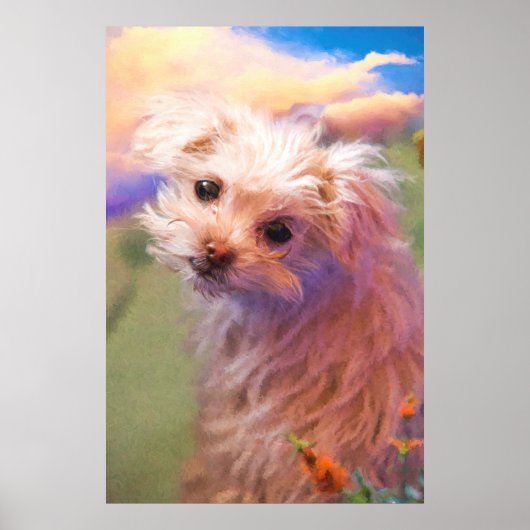 Poster Maltese Rescue Puppy Day 1 “THE WEE ONE” (Devant)