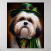 Poster Malti Tzu Chien en Robe de la Saint Patrick (Devant)