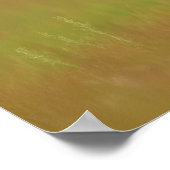 Poster Mama Bear #13 (Coin)