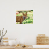 Poster Mama Fox dans la vallée de l'Hudson (Cuisine)