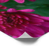 Poster Maman ! (Coin)