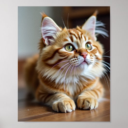 Poster Maman au chat (Devant)